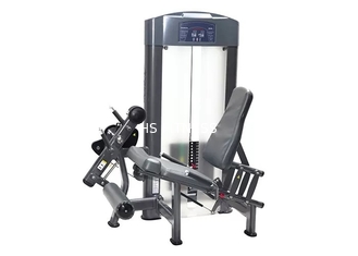 La palestra mette in mostra l'attrezzatura di forza di forma fisica di vita/macchina messa di estensione della gamba