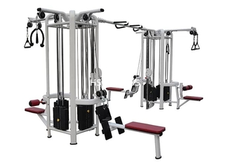 Multi macchina della palestra della stazione di forma fisica 8 della giungla dell'attrezzatura della palestra del body building
