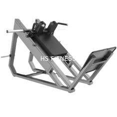 Prezzo basso professionale Sissy Squat Machine di alta qualità dello sbocco di fabbrica di Smith Machine Gym Squat Rack