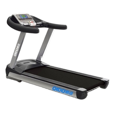 Motore a corrente alternata dell'interno del body building della pedana mobile commerciale della famiglia 6.0HP