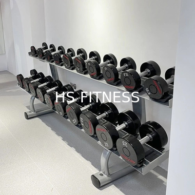 Stoccaggio del peso in palestra a doppio strato 10 coppie di manubri