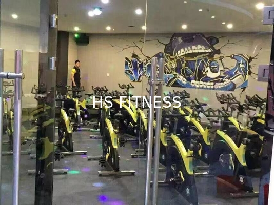 Tipo di trasmissione cinghia importata di rotazione di forma fisica di vita delle bici della macchina commerciale della palestra