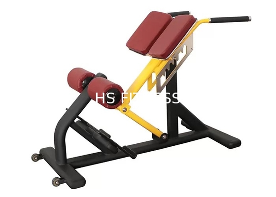 Attrezzatura commerciale Roman Ab Exercise Chair di forma fisica dello scaffale del banco di peso della palestra