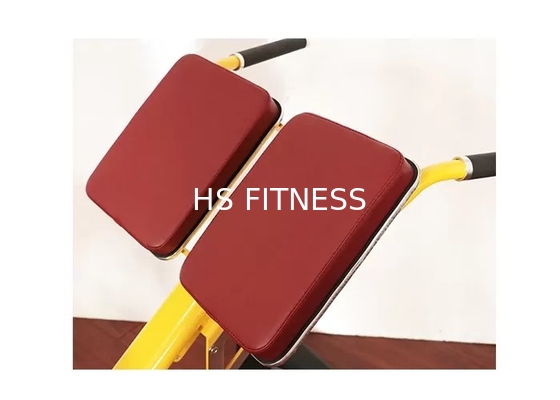 Attrezzatura commerciale Roman Ab Exercise Chair di forma fisica dello scaffale del banco di peso della palestra