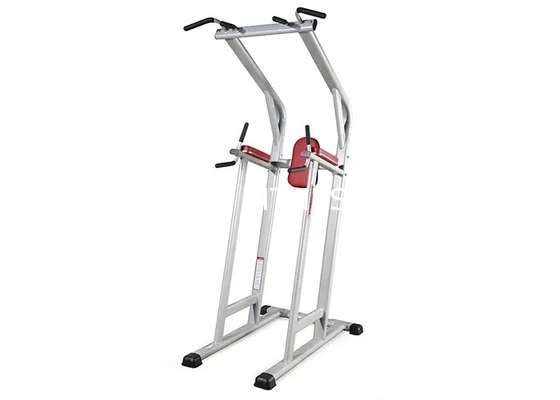 La forza commerciale dell'attrezzatura della palestra di forma fisica di vita ha assistito Chin Dip Leg Raise Machine