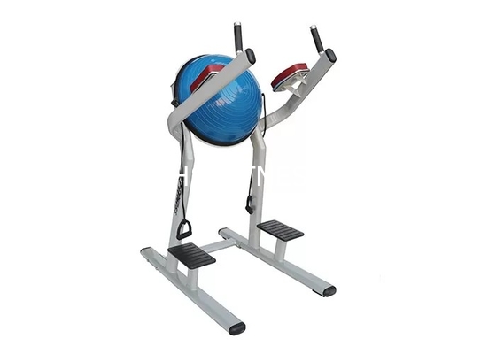 Macchina della palla dell'attrezzatura/Chin Dip Leg Raise With Bosu di allenamento di forma fisica di vita