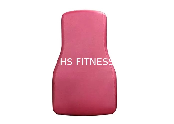 Macchina dell'interno di Pulldown del Lat di isolato dell'attrezzatura della palestra di HS di allenamento con la fila messa
