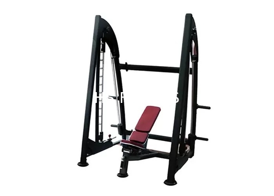 Scaffale professionale di Smith Machine Compressible Rogue Power di forza