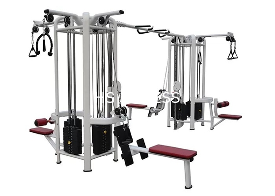 Multi macchina della palestra della stazione di forma fisica 8 della giungla dell'attrezzatura della palestra del body building
