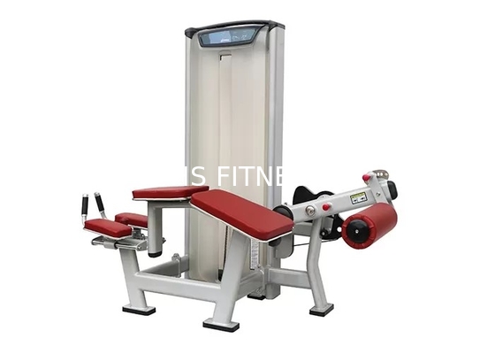 Macchina incline di esercizio del ricciolo di gamba dell'attrezzatura di allenamento della matrice della palestra dell'OEM